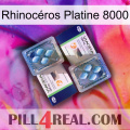 Rhinocéros Platine 8000 viagra5